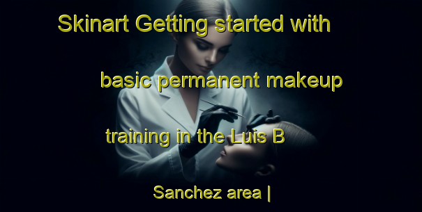 Skinart Getting started with basic permanent makeup training in the Luis B  Sanchez area | PermanentmakeupTraining | PermanentmakeupClasses | SkinartTraining-Mexico